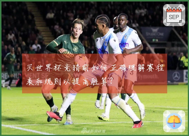 买世界杯竞猜前如何正确理解赛程表和规则以提高胜算？