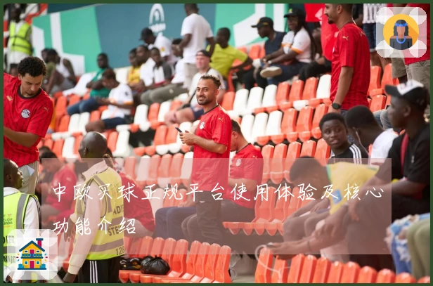 中欧买球正规平台使用体验及核心功能介绍