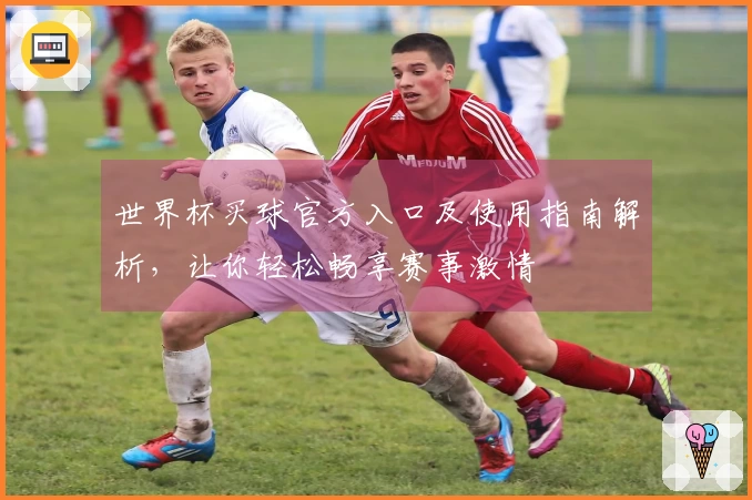世界杯买球官方入口及使用指南解析，让你轻松畅享赛事激情