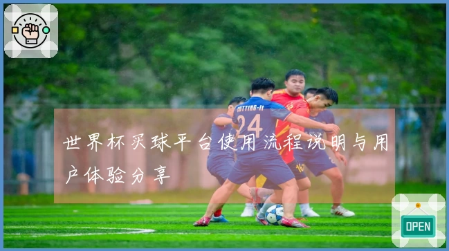 世界杯买球平台使用流程说明与用户体验分享