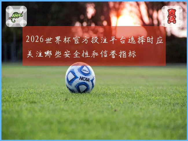 2026世界杯官方投注平台选择时应关注哪些安全性和信誉指标