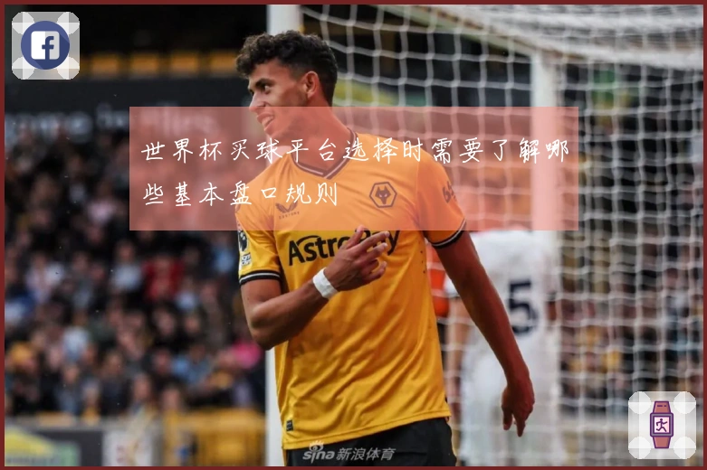 世界杯买球平台选择时需要了解哪些基本盘口规则