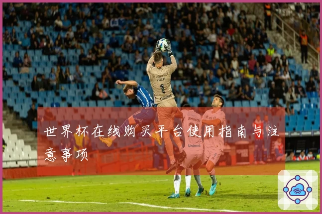 世界杯在线购买平台使用指南与注意事项