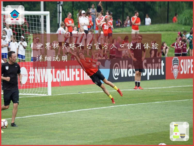 世界杯买球平台官方入口使用体验详细说明