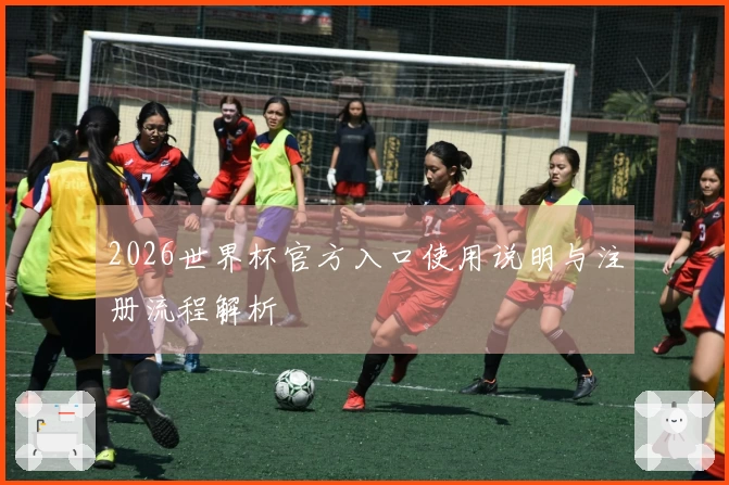 2026世界杯官方入口使用说明与注册流程解析