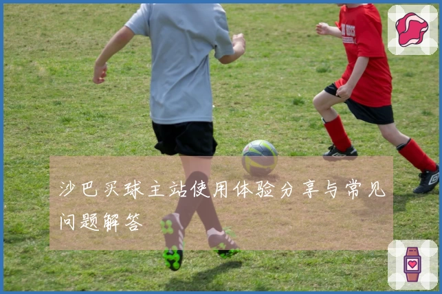 沙巴买球主站使用体验分享与常见问题解答