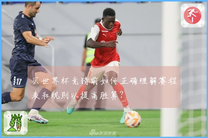 买世界杯竞猜前如何正确理解赛程表和规则以提高胜算？