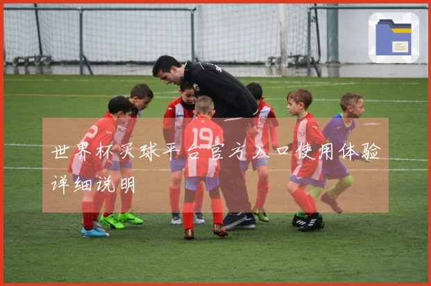 世界杯买球平台官方入口使用体验详细说明