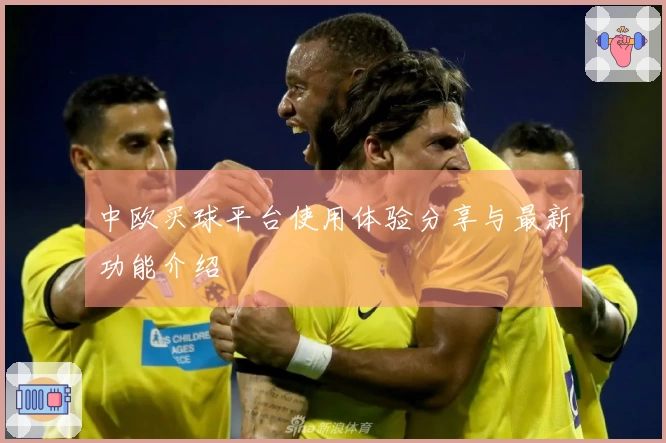 中欧买球平台使用体验分享与最新功能介绍